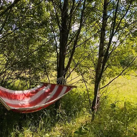 Apartmán Nature Retreat In A Beautiful Off-grid Cabin *