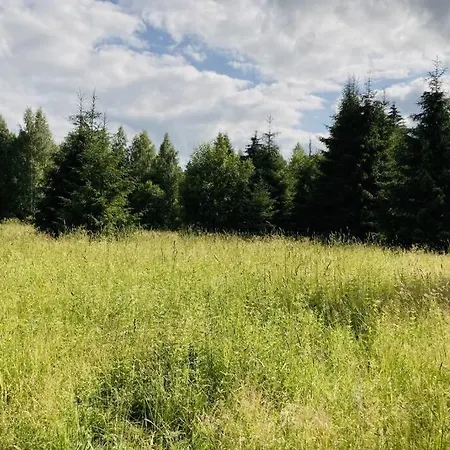 Nature Retreat In A Beautiful Off-grid Cabin